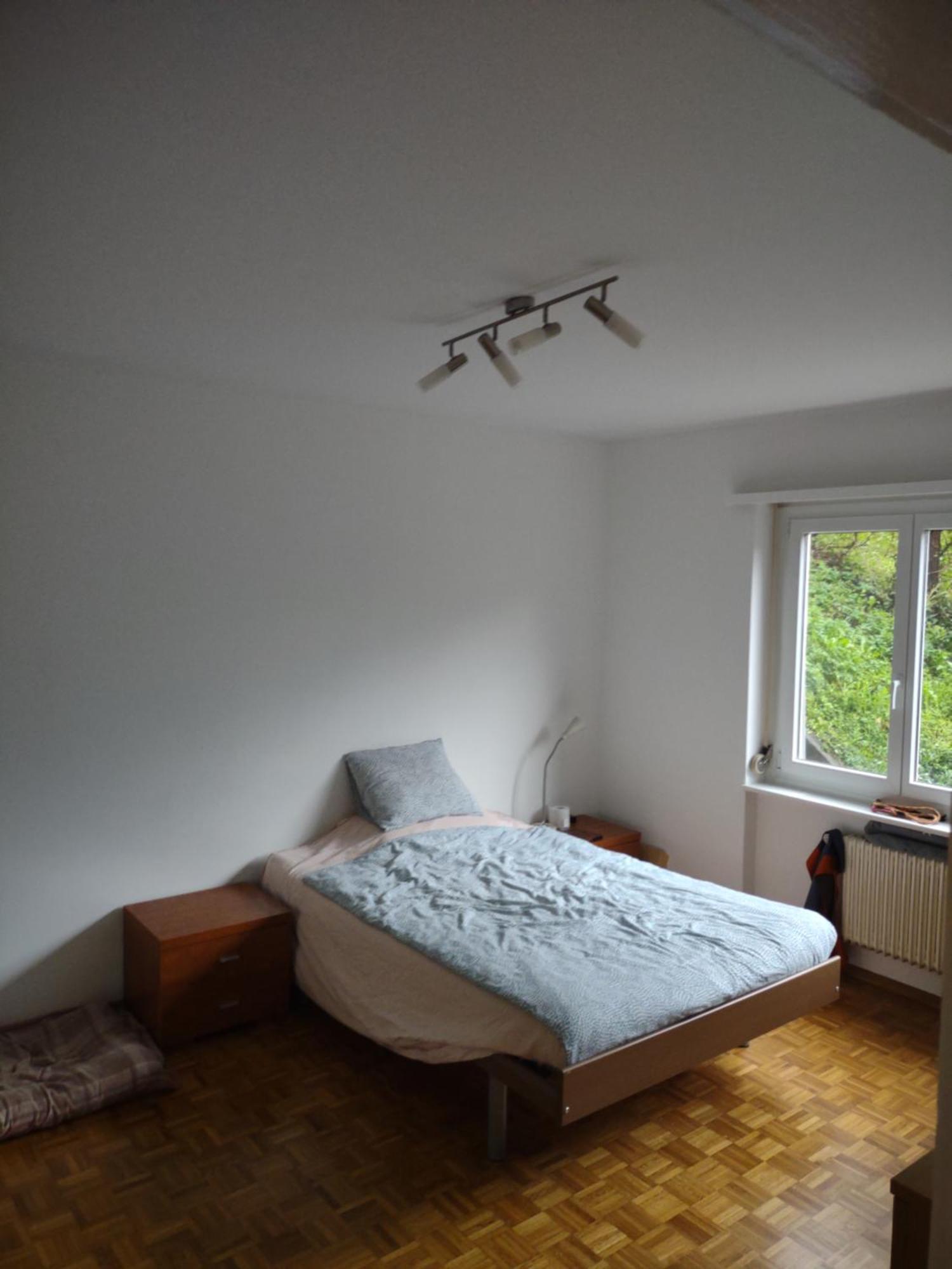 Appartamento Bellavista Lugano Massagno ภายนอก รูปภาพ